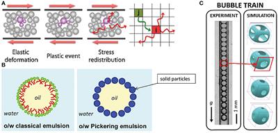 Connecting the Drops: Observing Collective Flow Behavior in Emulsions